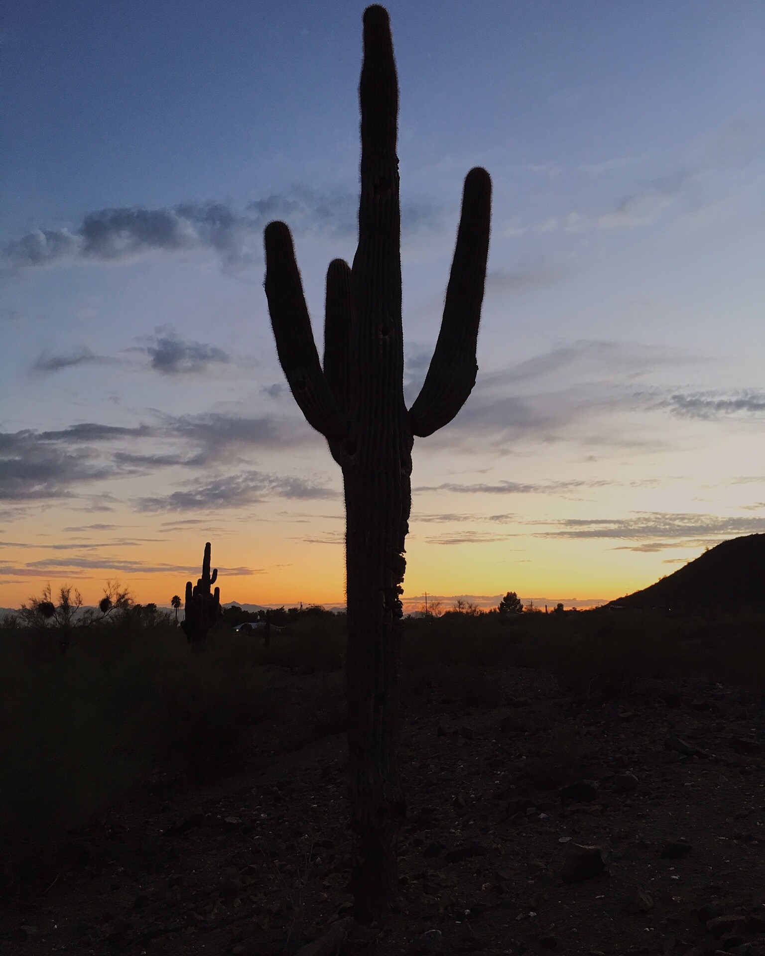 JMP Discovery Summit 2019 in Tucson Presentations on Equivalence and A-Optimal Designs