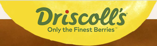 Driscolls Driscolls